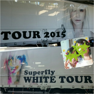 WHITE����